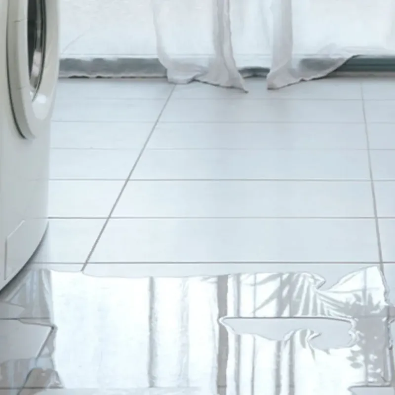Appliance Leak Cleanup in Newport, ME