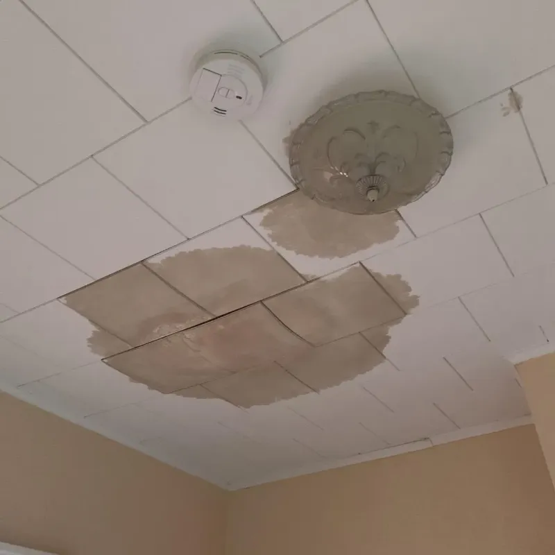 Ceiling Water Damage Repair in Newport, ME
