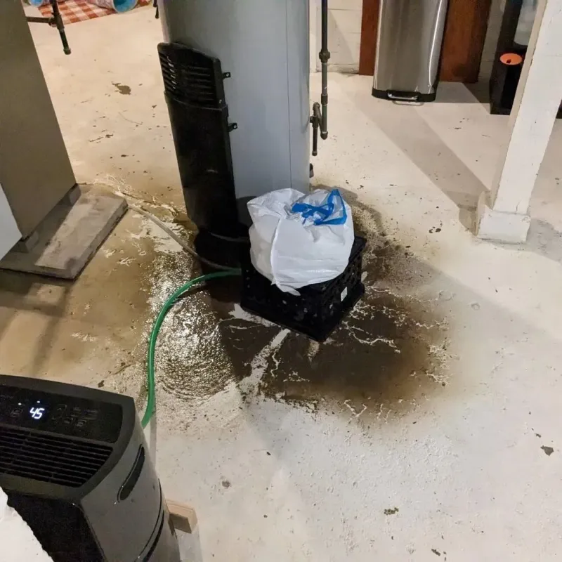 Sewage Backup Cleanup Service in Newport, ME